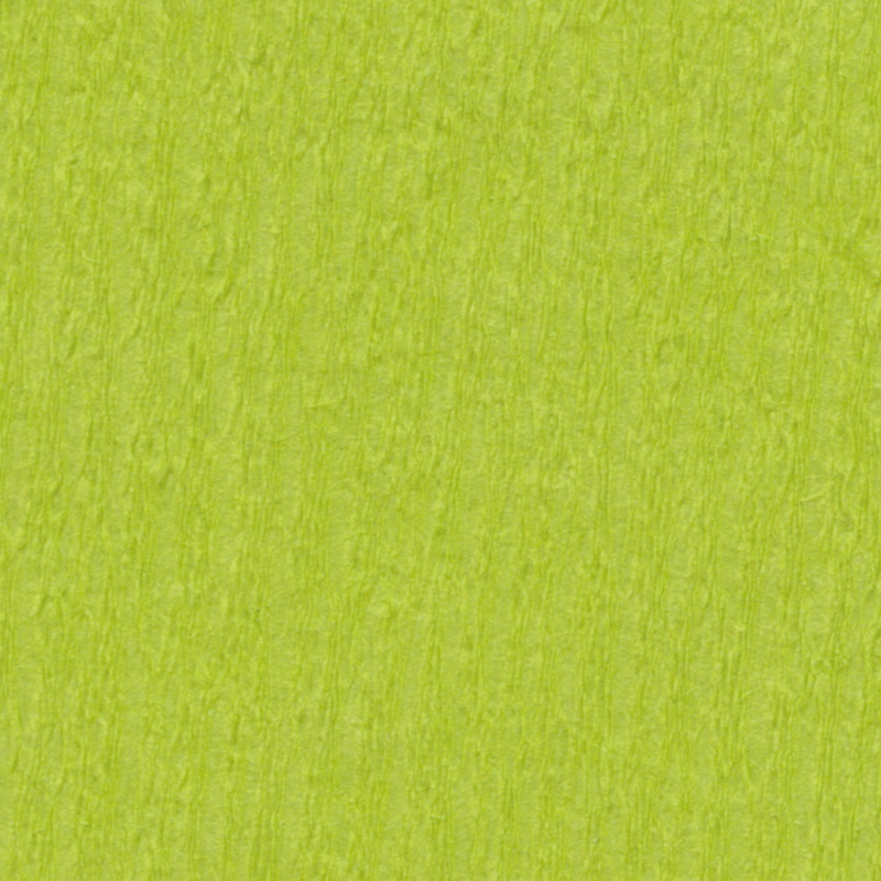 Krepppapier 50x250 cm Verpackung von 10 Stück - hellgrün image