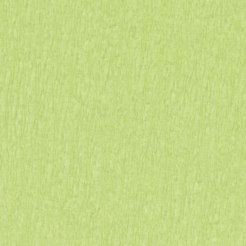 Krepppapier 50x250 cm Verpackung von 10 Stück - grasgrün image