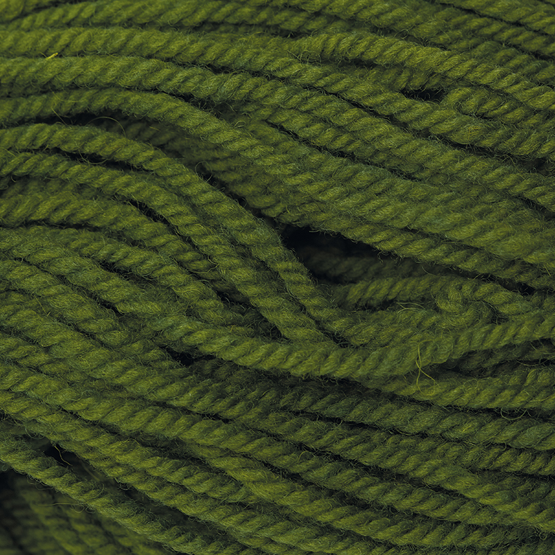 Filges Bioland Knitting Yarn - Forest Green image