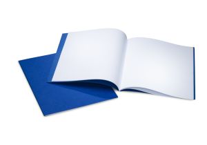 MLB 32x38cm Hochformat - 10er-Pack